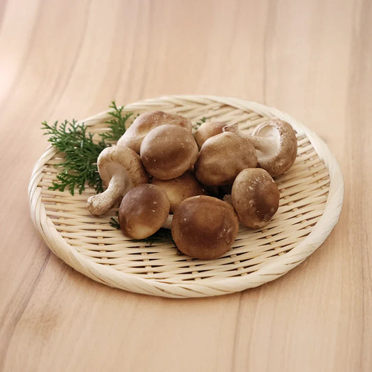 肉厚椎茸